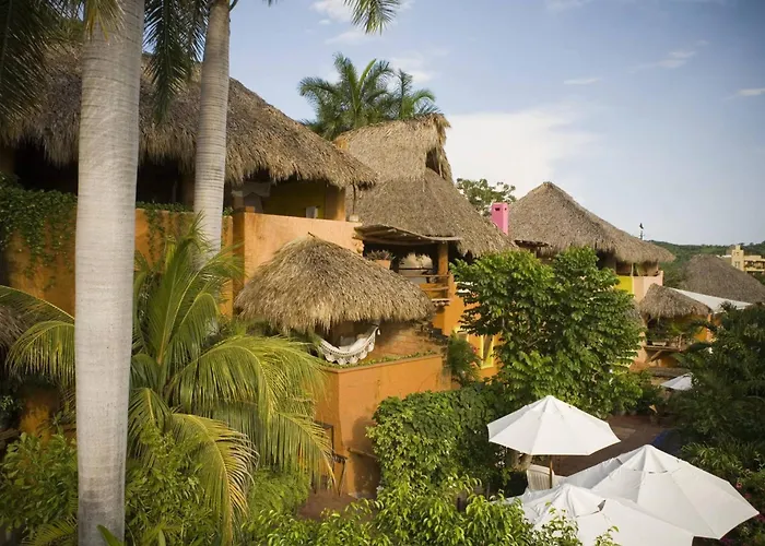 Ensueno De Fuga Zihuatanejo