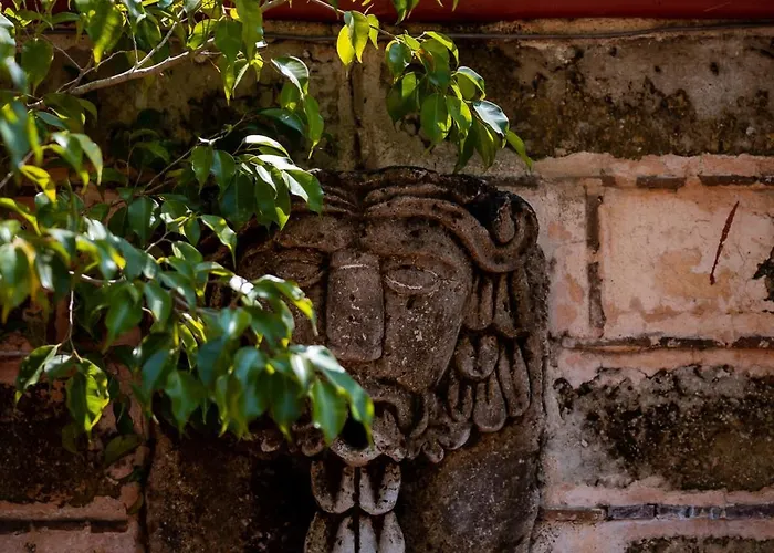 Ensueno De Fuga Hotel Zihuatanejo